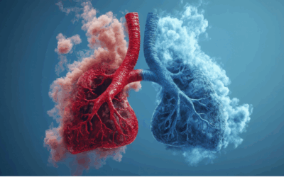 Γνωρίζετε ότι…